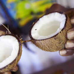 Split coconut