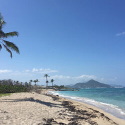 Herbert's Beach Nevis
